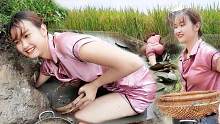 越南小妹自制工具独自在村外池塘边捕鱼，收获颇丰！