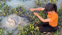 越南二姐用鱿鱼做鱼饵，钓大鱼最有创意的诱捕技巧！