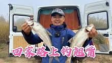 清晨翘嘴疯狂炸水，小铁板远投接连上鱼，光哥一家又有鱼吃了