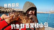 钓鱼群首次线下聚会，海岛防波堤玩根钓，石九公汤味道太鲜啦