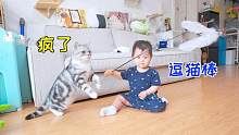 当人类幼崽学会了玩逗猫棒 家里猫就疯了！