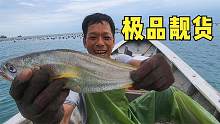 阿雄出海捕到极品黄鱼，这成色可遇不可求价值不菲，做梦都要笑醒