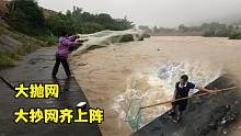 河道泄洪鱼群蜂拥而上，村民拿着抄网抛网齐上阵，看能收获多少鱼