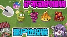 植物大战僵尸：铲子铲不动的植物！大嘴：就是僵尸的天敌！