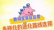 数码宝贝新世纪：最可爱的比丘兽，它的进化路线你了解吗？