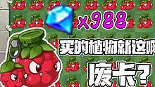 植物大战僵尸：988钻石买的桑葚爆破手好用吗？贝贝：上当了！