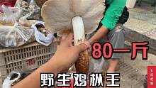 去四川看石榴，这里山上随便捡的蘑菇比肉还贵，一斤80块，值吗？
