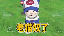 【小森生活】钓鱼喂猫，老猫奴了~