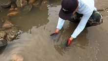台风过后赶海盘2000桶巨坑，抽干后价值1000元的剧毒猛货遍地乱窜#快手耕耘计划 #带着快手去赶海