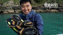 世界厨房第92集（上）：新西兰海底鲍鱼堆成山，光哥下海一次捞个够