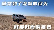 热情的新疆大哥带我们越野，到戈壁滩深处捡石头，漫鱼挖得好开心