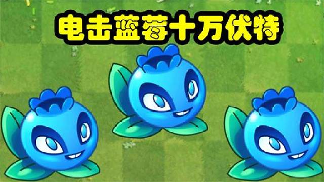 植物大战僵尸:五阶蓝莓十万伏特!不完全介绍