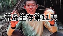 早上醒来发现天气不错，打算去礁石区赶海碰碰运气，意外收获了一些罕见的鲍鱼，荒岛炭烤鲍鱼太奢侈了 #荒