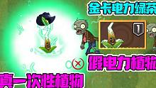 植物大战僵尸：金卡电力绿茶其实是一次性植物！你们都用错啦！
