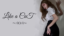 【月亮】猫步轻悄AOA-Like a Cat 【竖屏】封城宅家随便跳跳