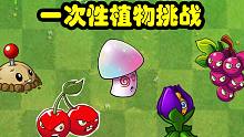 植物大战僵尸：一次性植物！挑战海盗二十二关困难模式！