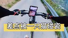 下山速度太快差点压死一只猫！ #骑行旅行 #骑行旅行风景 #山地自行车