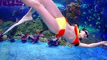 快来学游泳啦#自由潜 #美人鱼表演 #学游泳