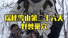 探秘雪山第二十六天 发现了好多野兽的巢穴 #雪山生存探秘 #户外 #户外探险