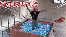 从几米高空跳进80000颗海洋球池里面！会不会痛？
