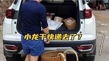小龙这是干快递去了？