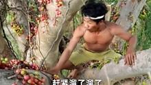 二溜子在丛林发现一棵树上长满了奇异的果子，居然煮来吃（上） # #户外