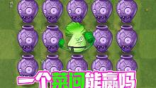 植物大战僵尸：一个菜问面对14个巨人罐子能赢吗？