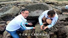 离岸百公里的海岛资源太丰富了，半小时就能捡一袋海螺，太多了