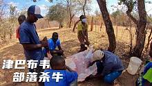 环球旅行766天：刚好赶上部落牧民杀牛，我也来凑个热闹瞧一瞧！