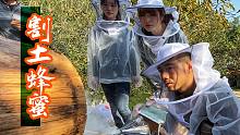 山里来客人了，体验现场割土蜂蜜，看了馋哭小姐姐