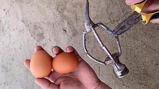 牛人改装的鸡蛋锤做传统手工工艺