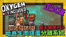 缺氧新手教學| 2 3 | 哈奇生肉塔蛋分離系統【缺氧】 | Oxygen Not Included