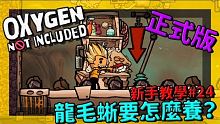 缺氧新手教學| 2 4 | 龍毛蜥要怎麼養？【缺氧】 | Oxygen Not Included |