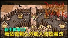 【別挨餓】新手教學12 蓋個蜂箱&外鄉人收蜂蜜法【Don't StarveTogether】