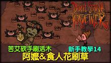 【別挨餓】新手教學14 苦艾砍手刷活木，阿嬤&食人花刷草教學【Don't StarveTogethe