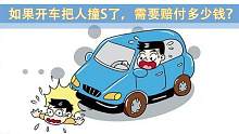 如果开车把人撞S了，需要陪多少钱！|一和一知道