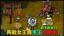 【別挨餓】新手教學18 再戰女王蜂冬王克勞斯【Don't StarveTogether】