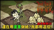 【別挨餓】還在用蘆葦做紙？我都用這招！入秋刷資源 新手教學25  【Don't Starve Tog