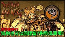 【別挨餓】狗狗也可以回理智？ 狗狗洗車場(理智站) 新手教學47【Don't Starve Toge