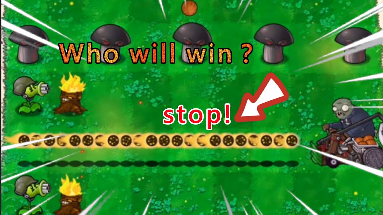 欢迎来到植物来啦的直播间