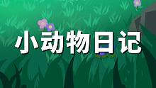 记录小动物们的游戏时光