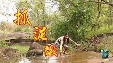 一起来抓泥鳅吧！池塘里的泥鳅个个活蹦乱跳，椒盐泥鳅超赞