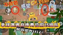 小动物之星单双偶遇巅峰前15组队能否逆天1打2？