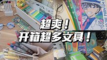 vlog#44 限定文具浓度过高！和我一起快速拆14个快递