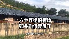 六十万建的猪场，用了不到六年，如今为何荒废了？