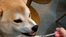 吃相难看