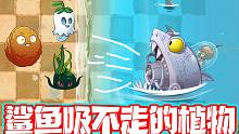 植物大战僵尸：鲨鱼僵博也吸不动的植物？在它们身后很安全！