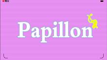 【我妻勇者】巴比龙-Papillon【片段试听】