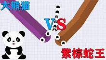可爱的小熊猫开局遇见两大蛇 直接追上去击杀蛇王