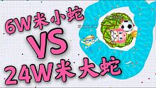 贪吃蛇大作战  6W米小蛇反杀24W米大蛇，靠的就是勇气